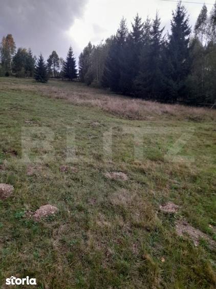Teren intravilan de vanzare, 2280 mp, Vatra Dornei - 1