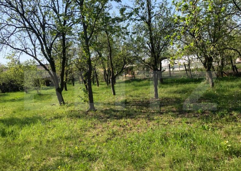 Casa individuala 4 camere, teren 4400 mp , Lazuri - 5