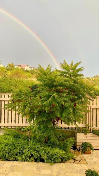 Casa 7 camere de vanzare in Cluj-Napoca, Borhanci ID 6824 - 6