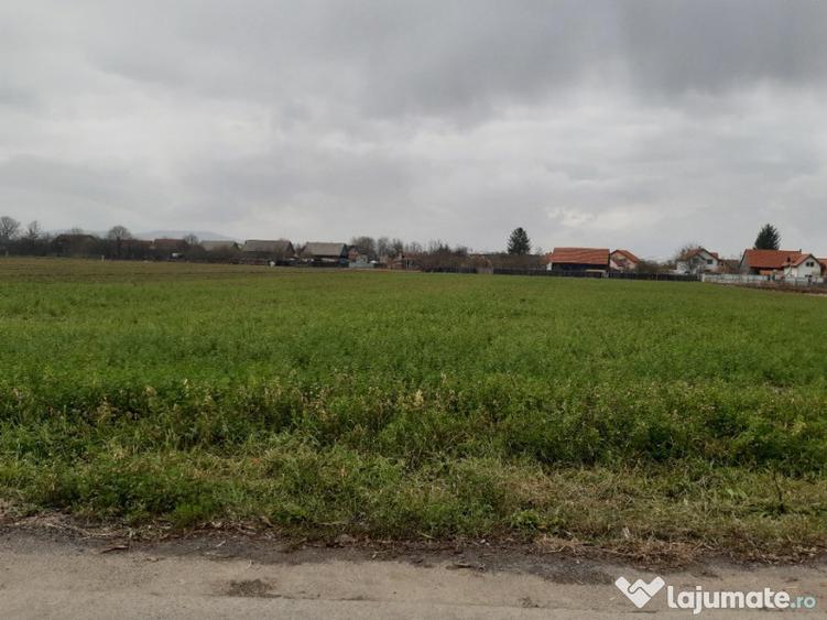 Teren intravilan central utilitati construibil Lunca Calnicului 2325mp. - 6