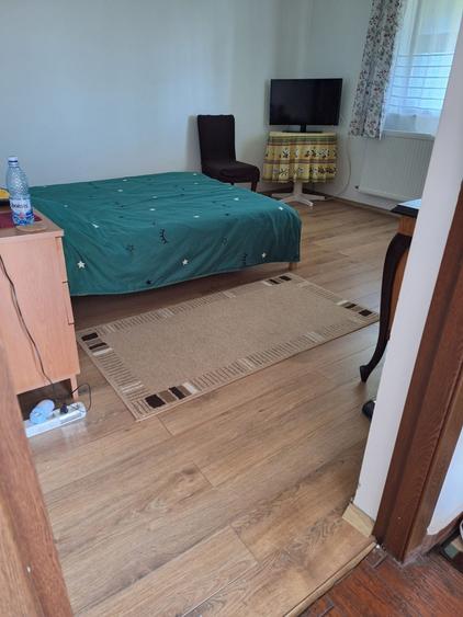 Gradistea, casa de vanzare - 10