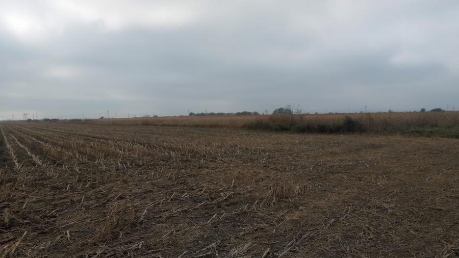 Teren de casa 500mp in Brasov - 2