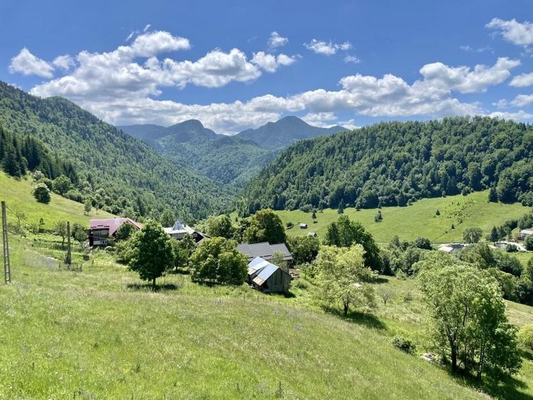 Teren cu vedere panoramica de vanzare | Podu Dambovitei, Comuna Dambovicioara - 3