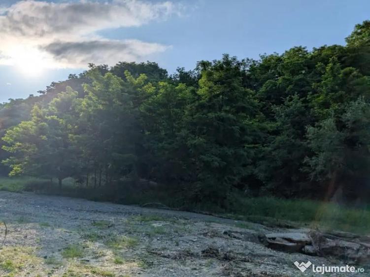 Sarata Bai- Oportunitate investi?ie- 4038 mp- priveli?te - 5