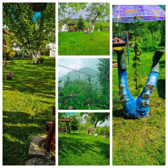 Se vinde: 2 case si o gradina de vis - 7