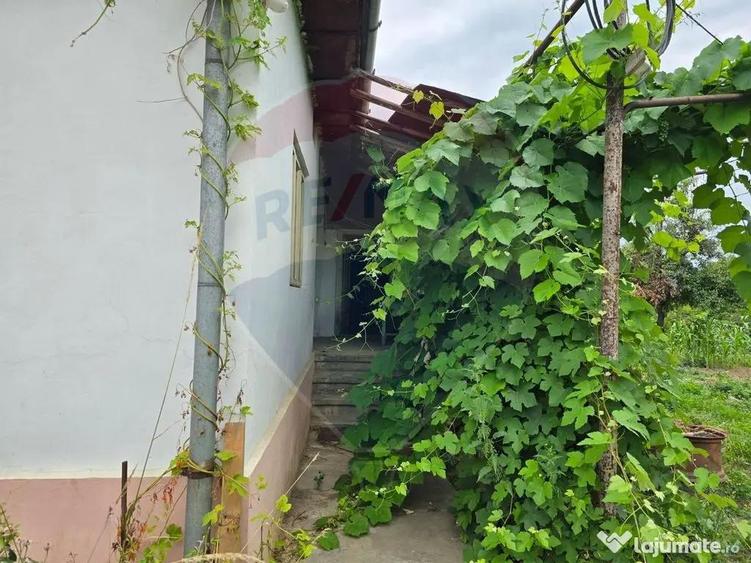 REZERVAT! Casa din inima Subcarpa?ilor comuna Cislau... - 8