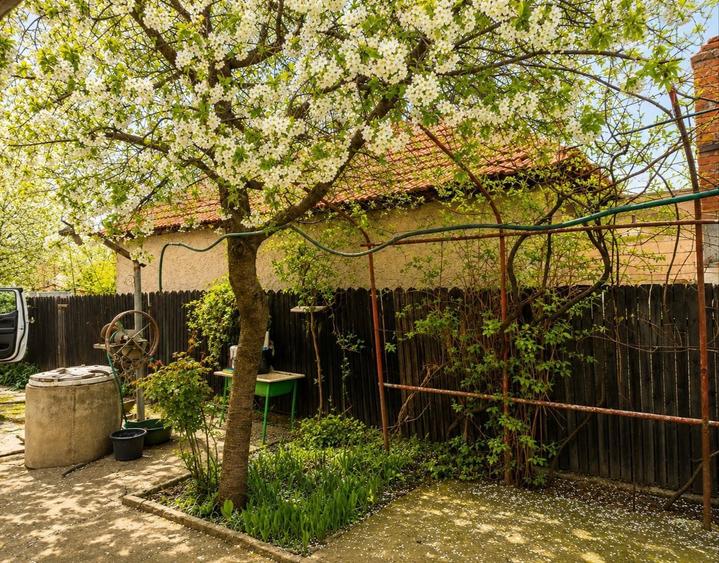 Casa in regiune viticola, usor accesibila din A3 - 5