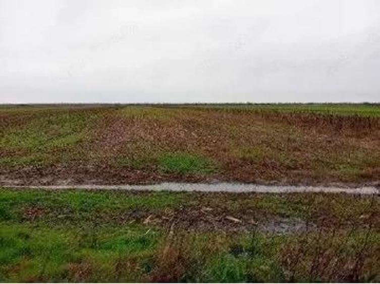 Teren extravilan Mogosani, ID: R2868327 - 1