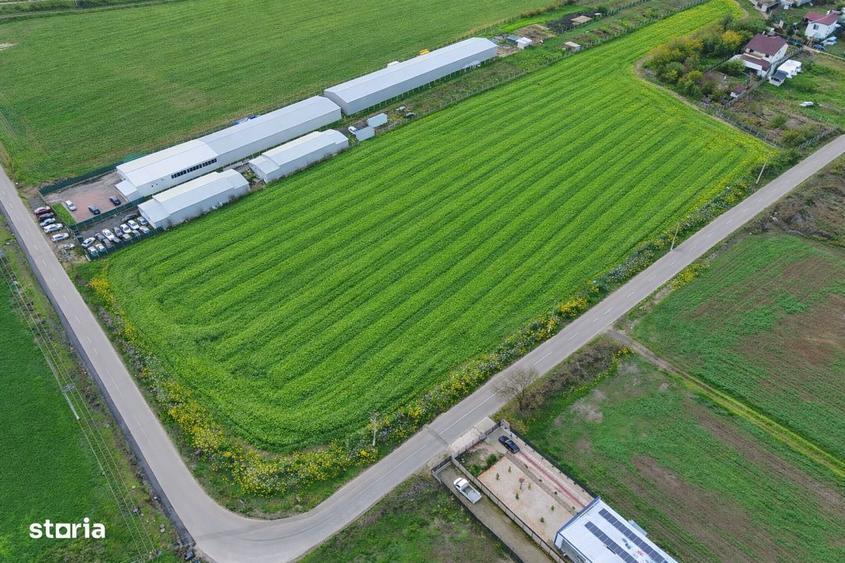 Teren intravilan 7.811 mp | Ciolpani, Ilfov | Acces drum public - 1