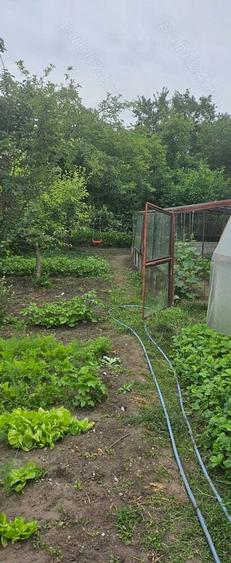 Vand casa str. 1Mai - 3