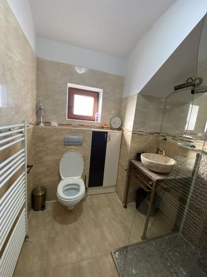 Cochet la intrare in Dumbravita - 12