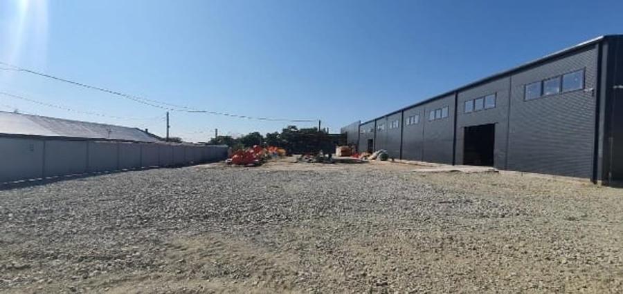 Ovidiu- descarcare A4, hala 1.600 mp. - 4