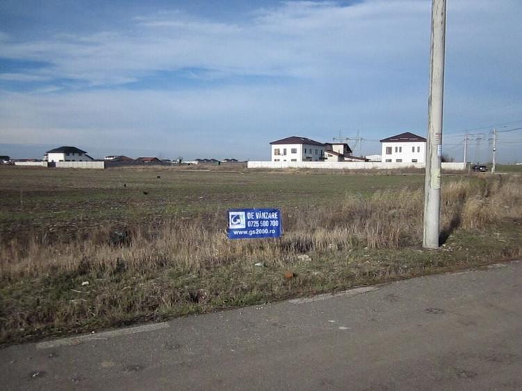 Domnesti-Narciselor - 10