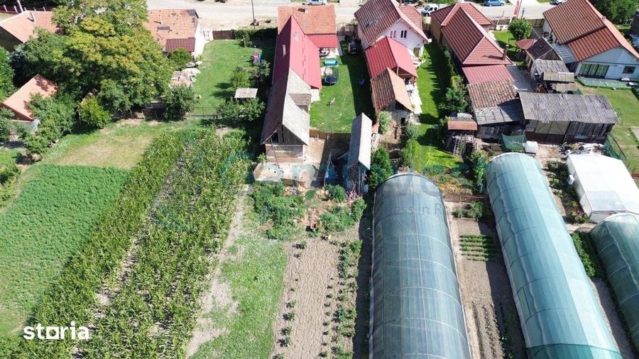 Casa cu 3 camere 115mp de vanzare in Biharia, Bihor, V4172 - 3