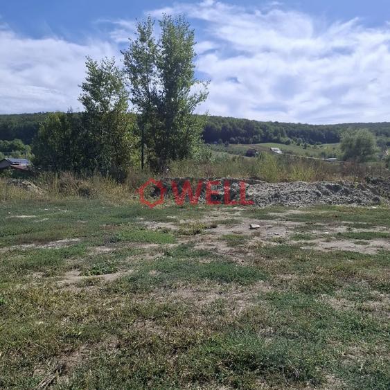Teren Construcții intravilan de 750 mp, în Livezeni