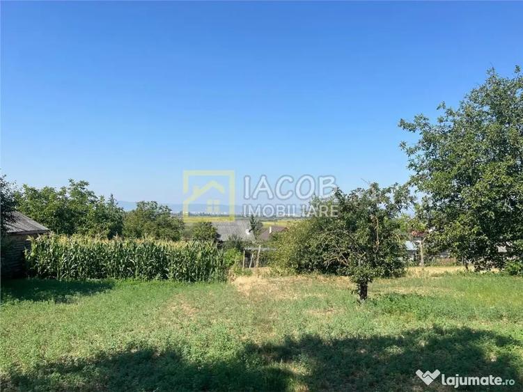 Teren 1541 mp sat comuna Buhoci str Prunului jud Bacau - 3