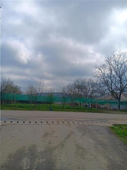 Teren Construcții intravilan de 46000 mp, în Dorobanț