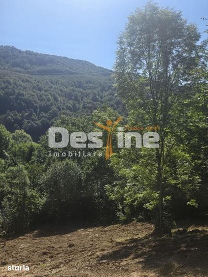 Teren Valea Doftanei, zona Pe Vale - Baraj Paltinu - 1