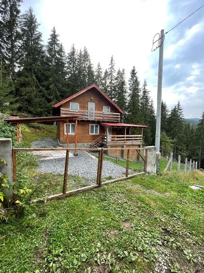 Casă cu 3 camere în Muntele Băișorii