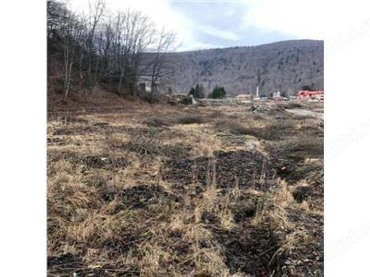 De vanzare teren intravilan AZUGA - 4