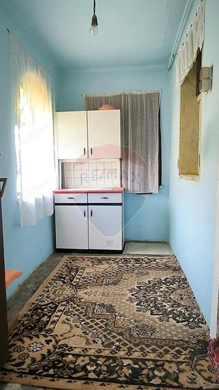 Casa la ?ara in Transilvania - sat sasesc Paucea, jud. Sibiu - 14