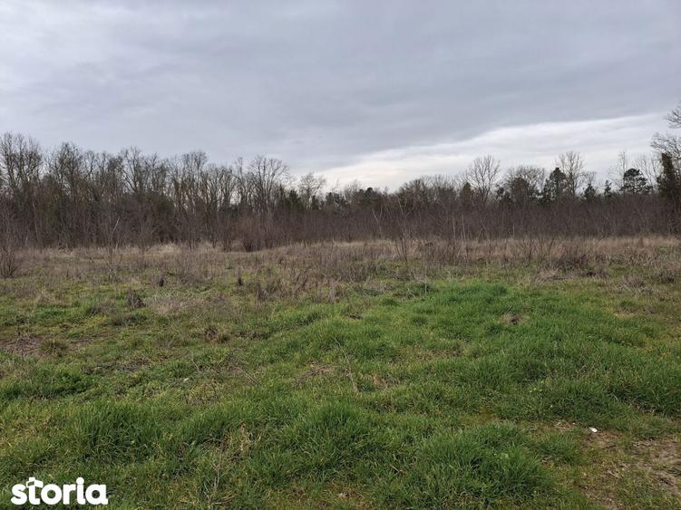 Neptun teren intravilan construibil 1750 mp - 6