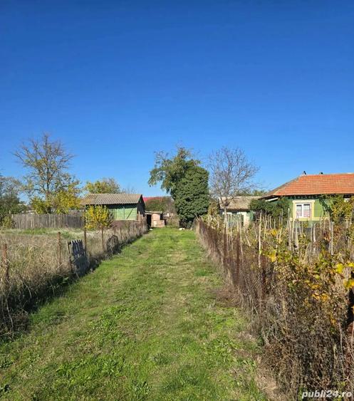 Se vinde casa cu teren jud Teleorman com Trivale Mosteni Sat Bratasani - 2