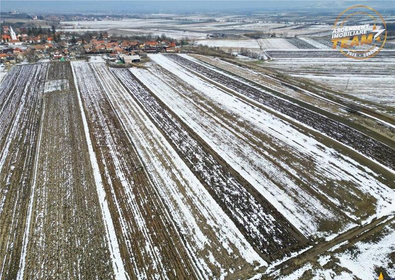 Suprafata intravilan 6.425 mp, oportunitate platforme rezide - 18