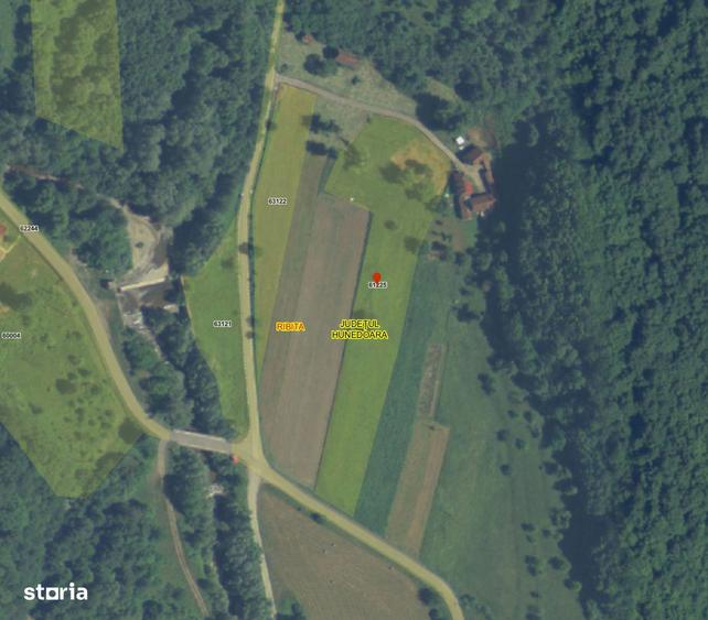 Teren intravilan de vanzare 5735 mp Ribita - 7