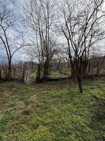 Casa individuala și în stare buna de vânzare în Ohaba - 5
