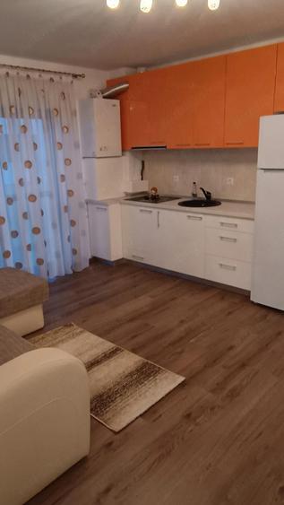 Apartament 2 camere mobilat utilat Doamna Stanca - 9