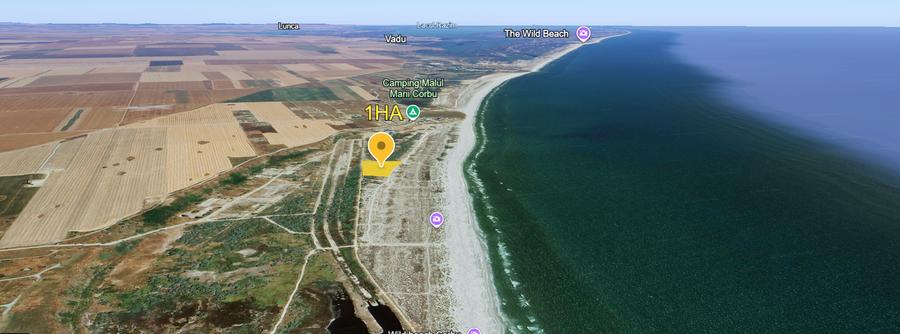 CORBU - 4000 MP PRIMUL RAND LA MARE - - 3