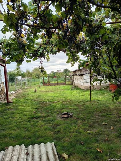 Casa de vanzare in centrul localita?ii Tamaseu (jude?ul Bihor), aproape de Oradea! - 2