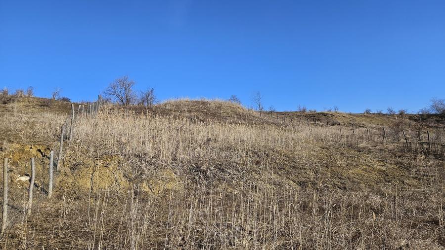 20 Euro/mp, Teren superb, 5.665 mp, Valea Fantelor-Iris - 8