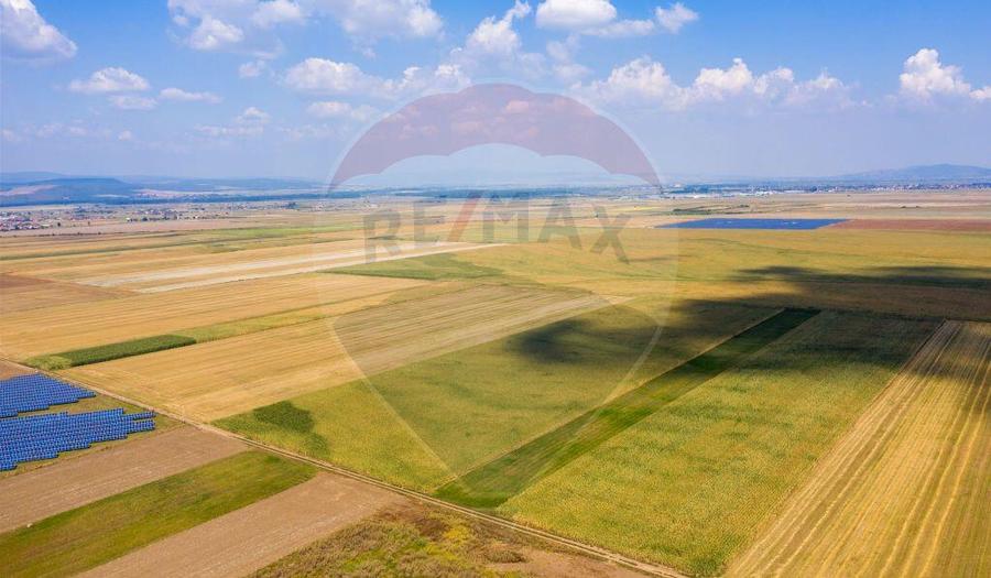 Teren Harman 29200mp pretabil dezvoltare industriala - 19