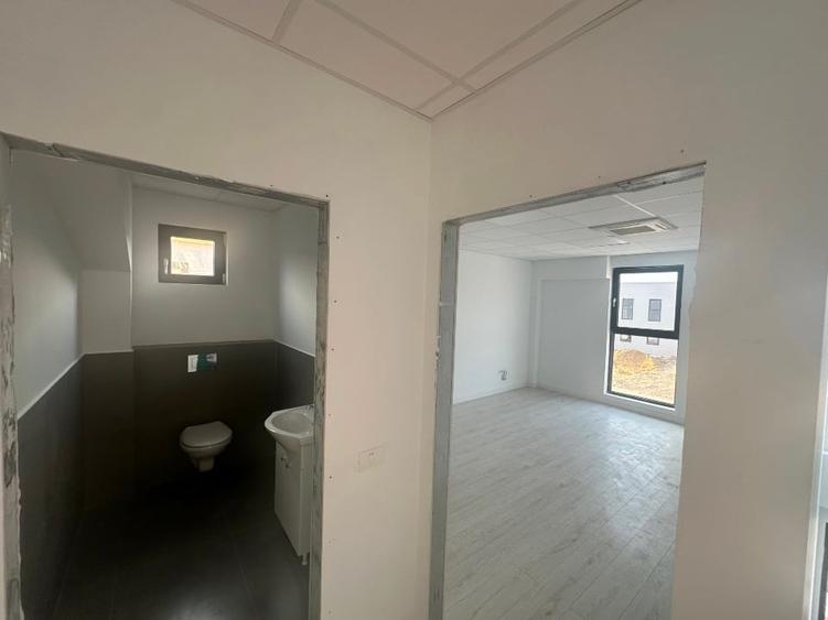 Hală 600mp incinta TBM Park - 6