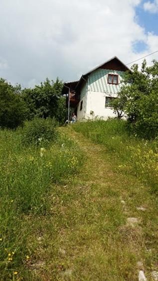 Drajna de Jos 5000 mp Teren +Casa demolabila ! - 1