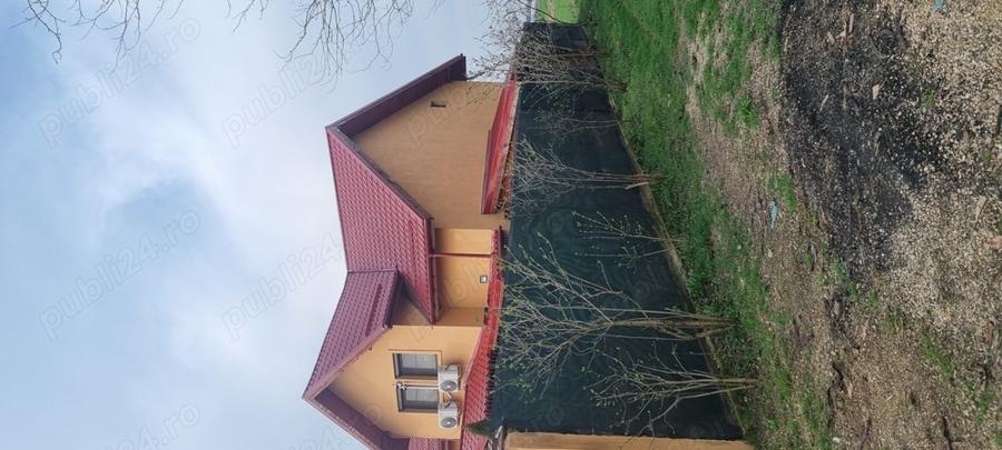 Proprietate de vinzare - 10