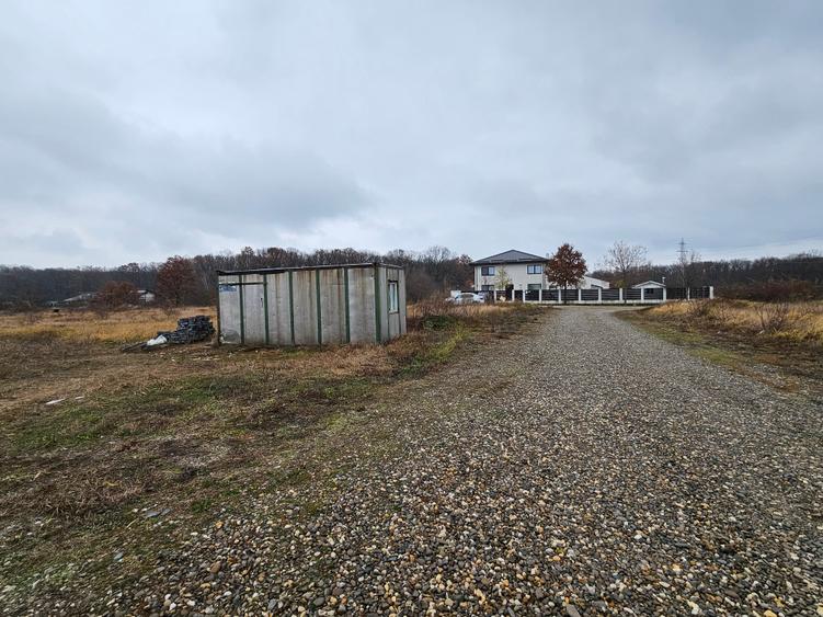 BALOTESTI- STRADA  MARGARETELOR - 2