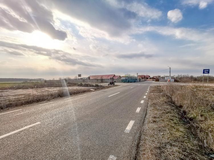 Teren intravilan la asfalt si statie autobuz Ilfov Cernica Posta - 3