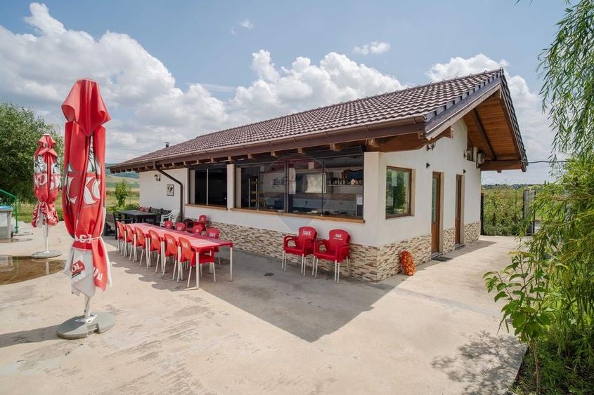 Complex cu Piscină/Cazare de Vânzare, 10.777mp Teren - DN24, Vaslui - 5