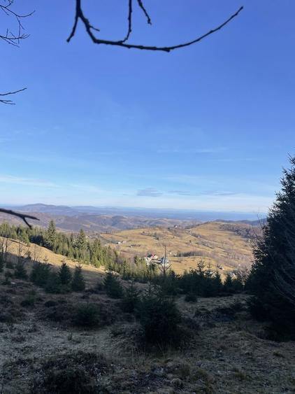 Teren de vanzare - 4