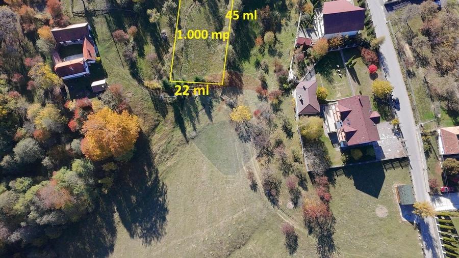 Teren de Vis in Bran - 1000mp Plat, Liniste Absoluta si Aer Curat - 4