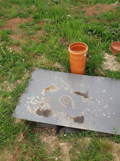 Teren intravilan cu cabana in Pausa - 13