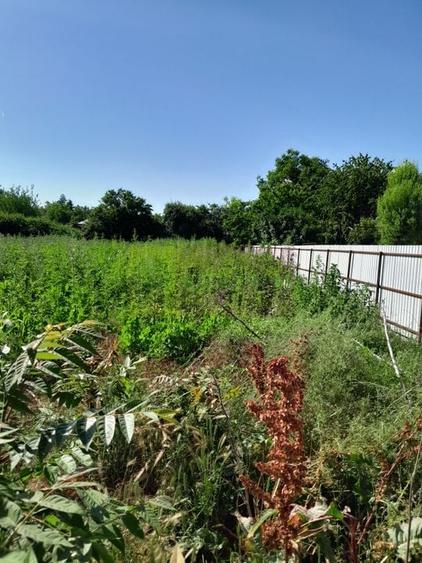 Movilita (IL)-teren de inch. 1800 mp stradal, 30 ml desch, langa Profi - 11