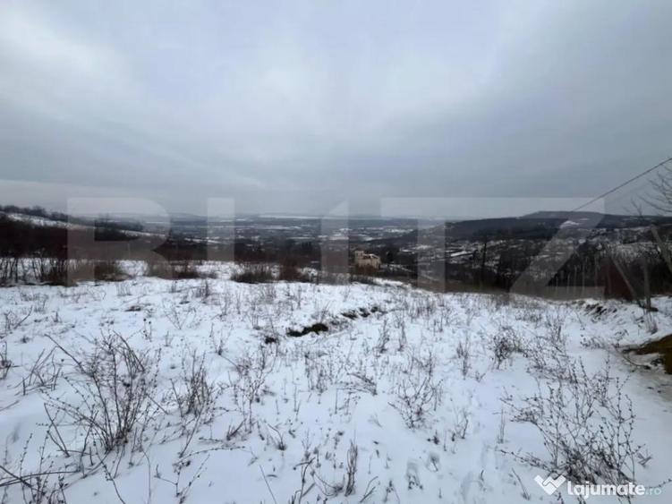 Teren 1240 mp intravilan, Vladiceni - 4