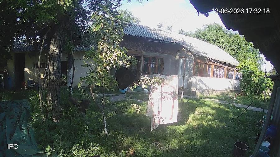 Casa curte si cca 5000mp la 50km de Bucuresti - 6
