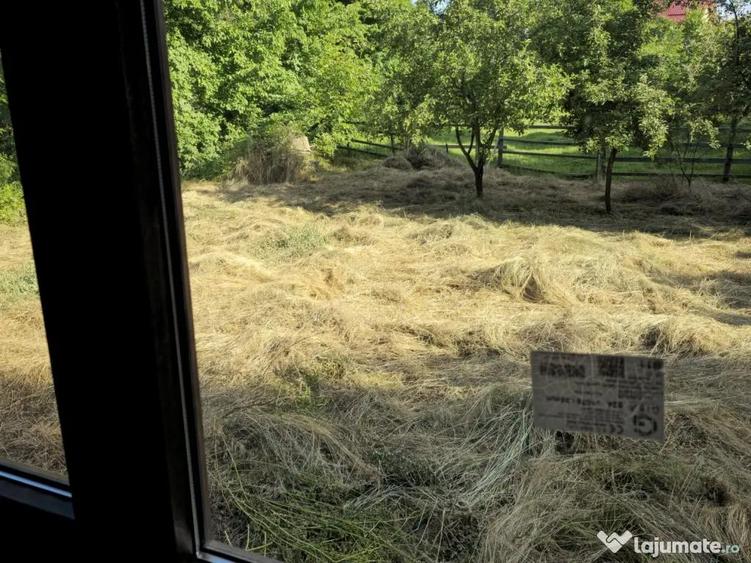 Casa de vanzare in comuna Garcina si teren 700mp - 9