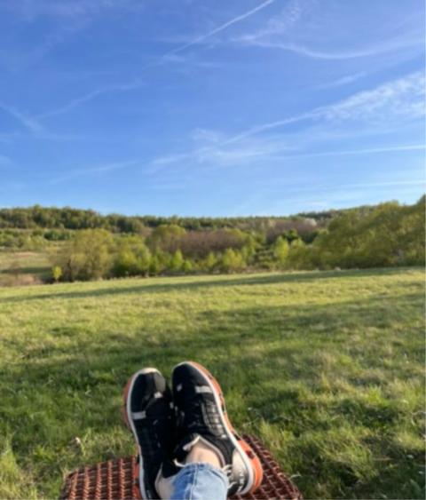 Teren extravilan intabulat Baciu - 2