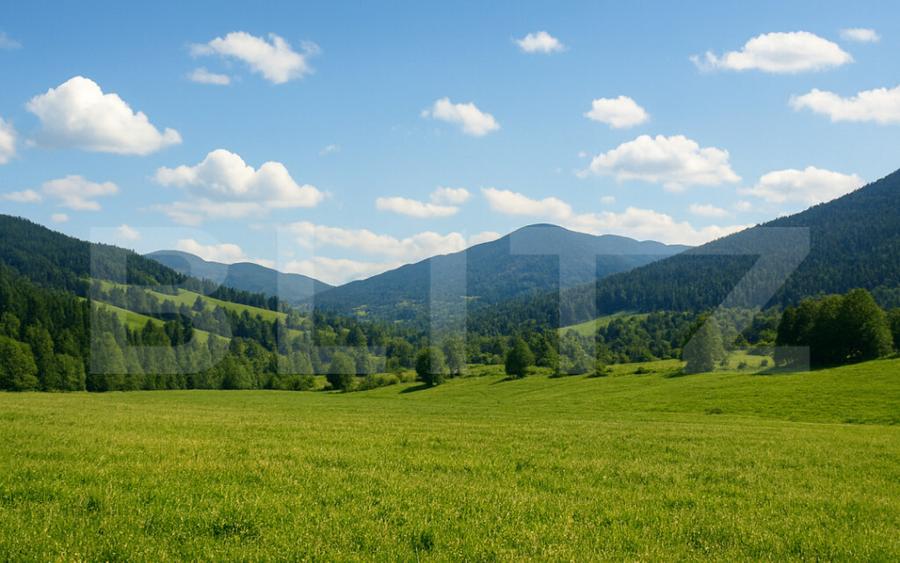 Teren intravilan de vanzare, 7.000 mp, Vatra Dornei - 2